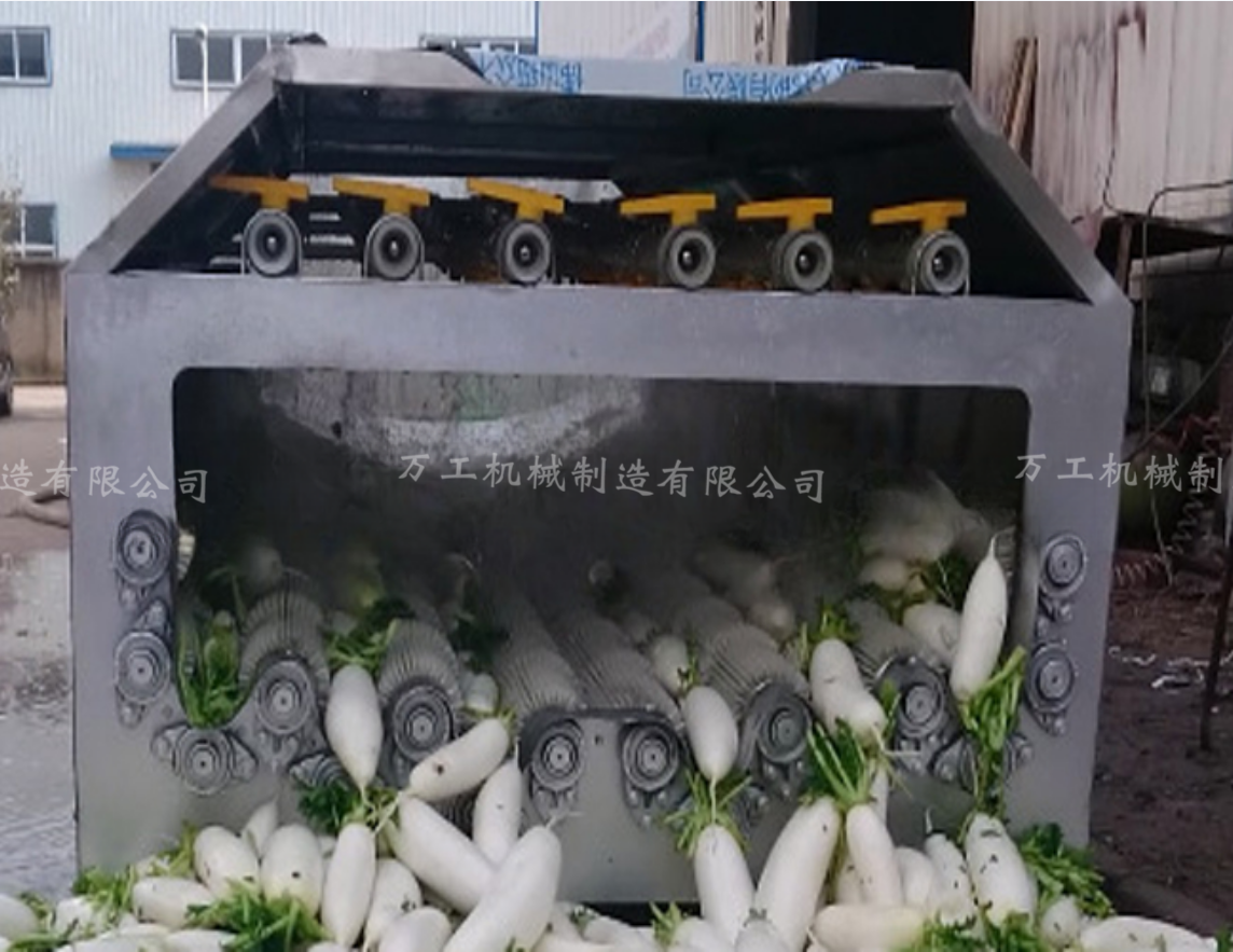 專業(yè)生產滾筒毛刷清洗機 水果蔬菜清洗機